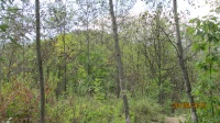IMG_7089.jpg, 30kB